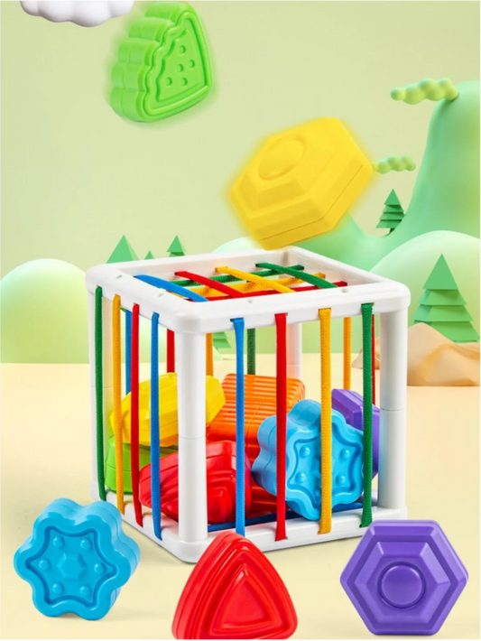 Motor Skills Training & Educational Fun: Baby Shape Sorter Cube Toy for Kids!